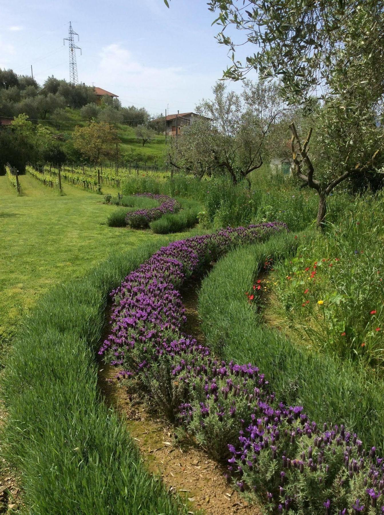 Penzion La Valle Castelnuovo Magra Exteriér fotografie